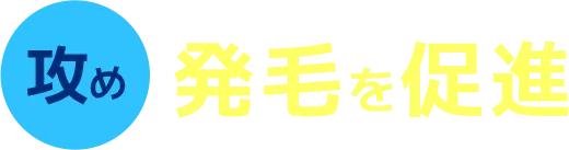 攻め 発毛を促進