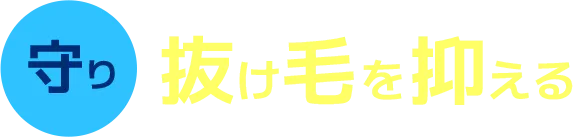 守り 抜け毛を抑える