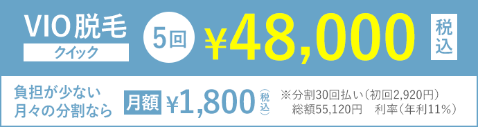 VIO脱毛クイック5回48,000円(税込)