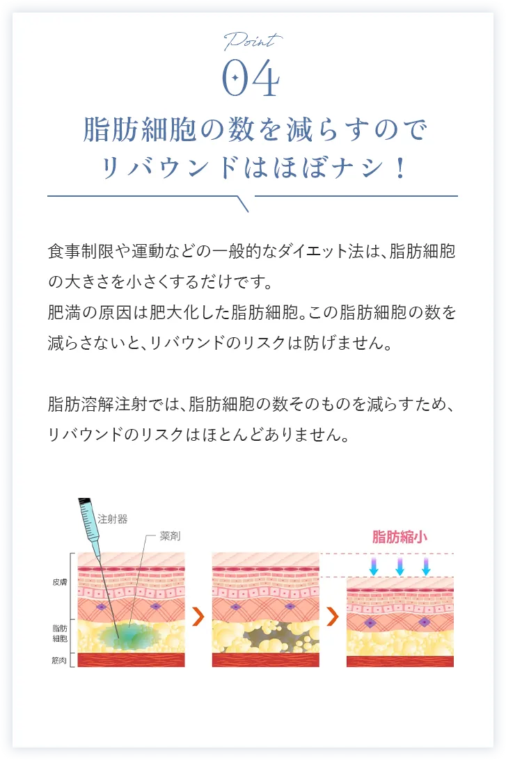 Point4 脂肪細胞の数を減らすのでリバウンドほぼナシ！