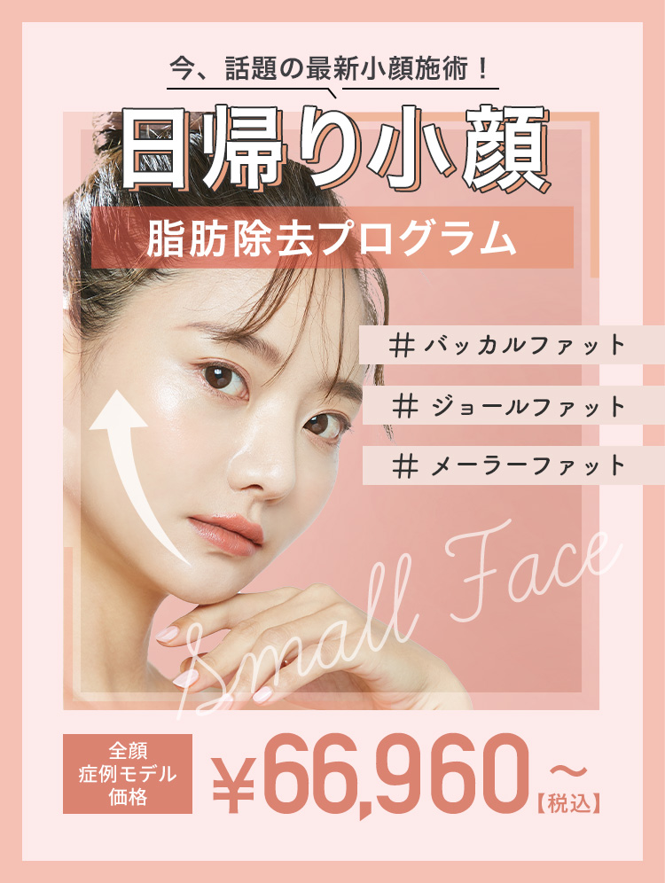 日帰り小顔除去プログラム