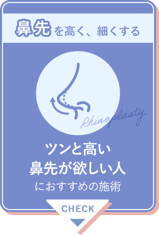 鼻先を高く、細くする