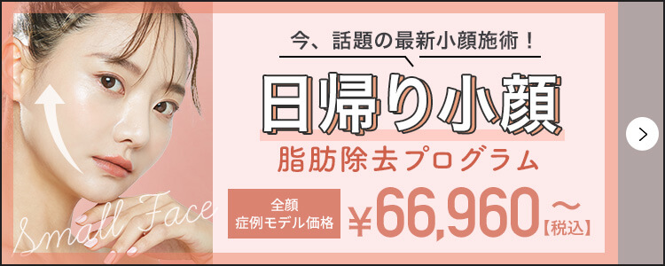日帰り小顔　脂肪除去プログラム