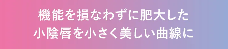 機能を損なわずに肥大した小陰唇を小さく美しい曲線に