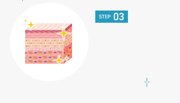 STEP03