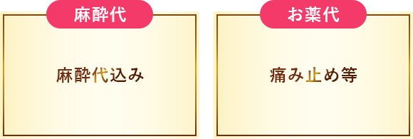 麻酔代、お薬代