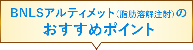 BNLSアルティメットはここがスゴイ