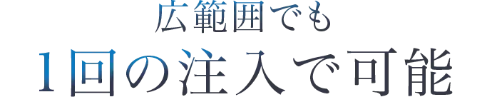 広範囲でも1回の注入で可能