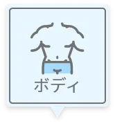 ボディ