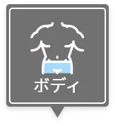 ボディ