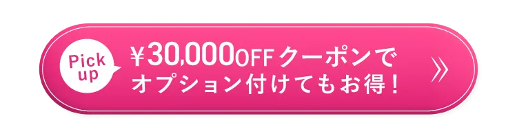 30,000円OFFクーポンでオプション付けてもお得！