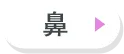 鼻