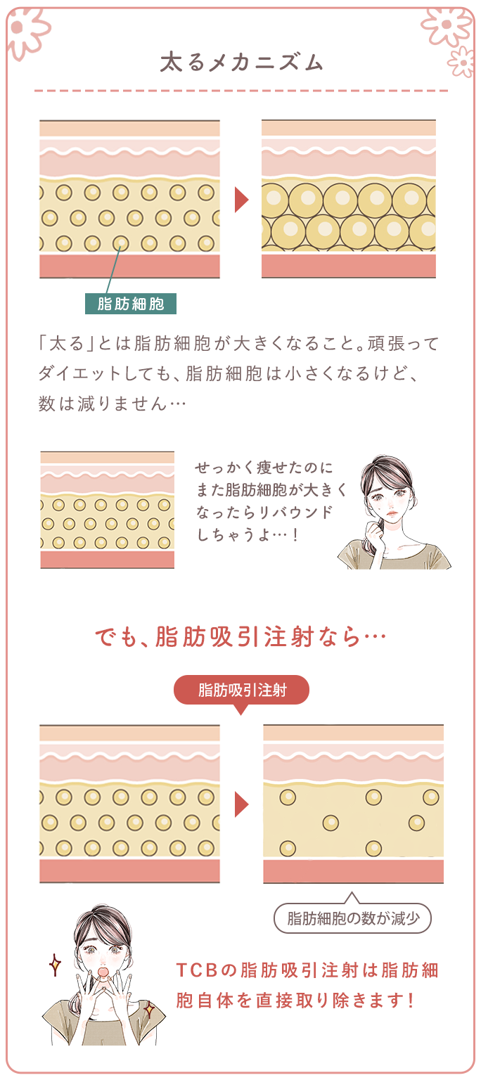 太るメカニズム