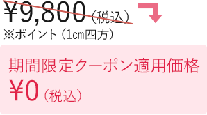 期間限定クーポン適用価格