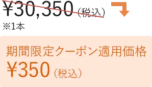 期間限定クーポン適用価格
