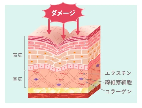 イメージ画像