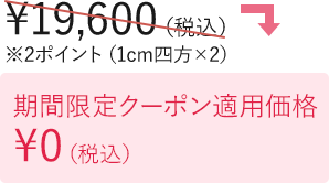 期間限定クーポン適用価格