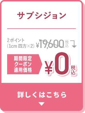サブシジョン