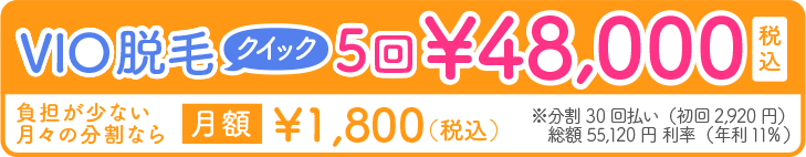 VIO脱毛クイック5回48,000円